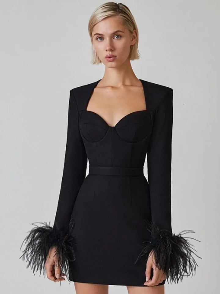 Women's Corset Mini Dress with Feather Cuffs