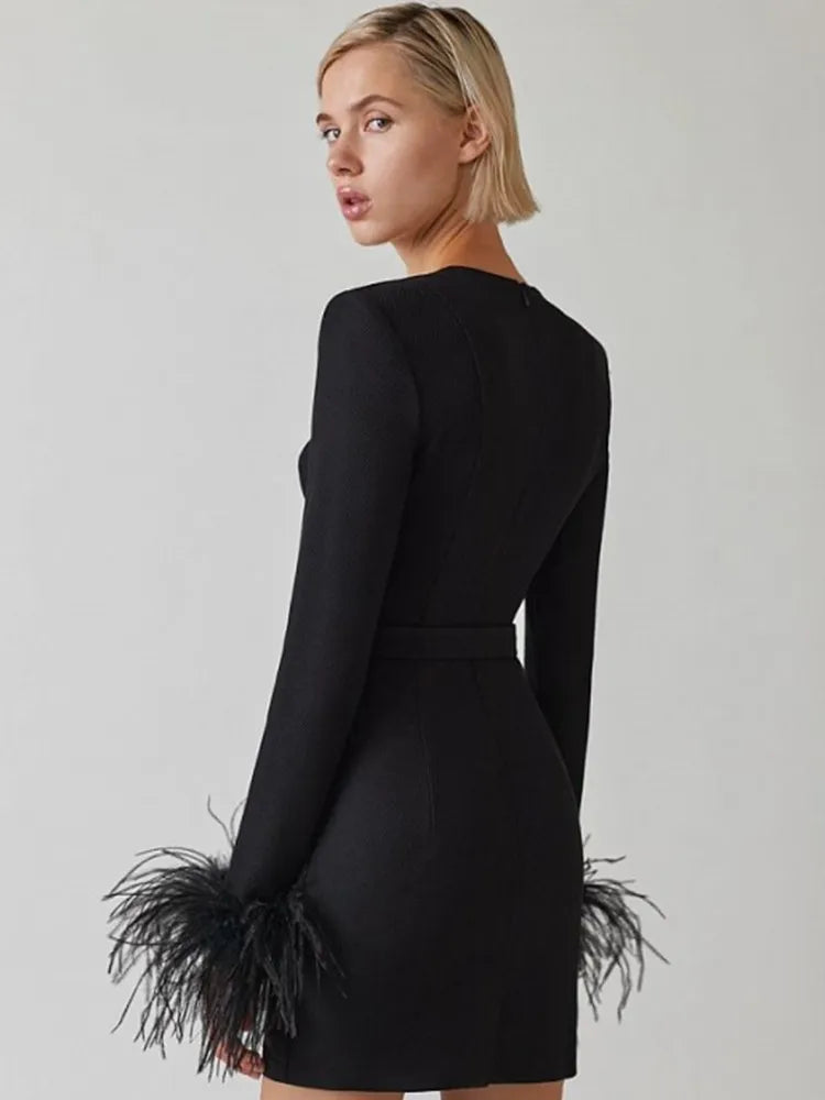 Women's Corset Mini Dress with Feather Cuffs