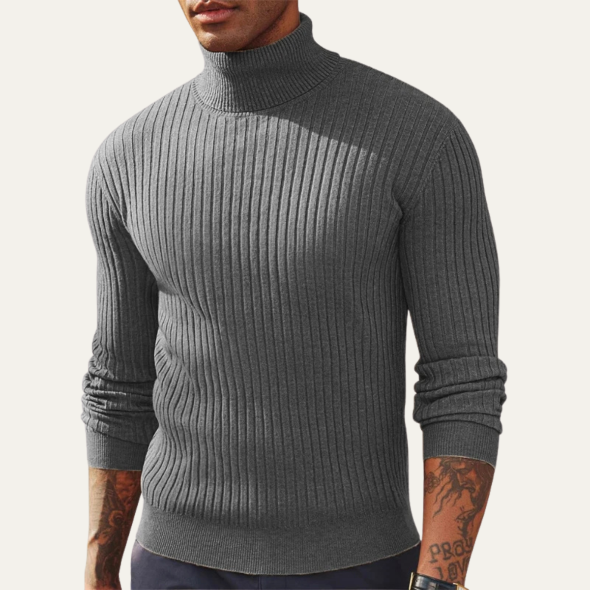 The Tavolara Men’s Slim Fit Turtleneck Ribbed Knit Sweater